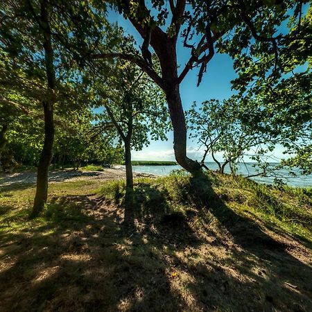 Traumhaff Kuestenchalets - Einzigartige Chalets An Der Ostsee. Ganz Aus Laerchenholz Mit Kamin Und Sauna Vogelsang-Warsin Extérieur photo