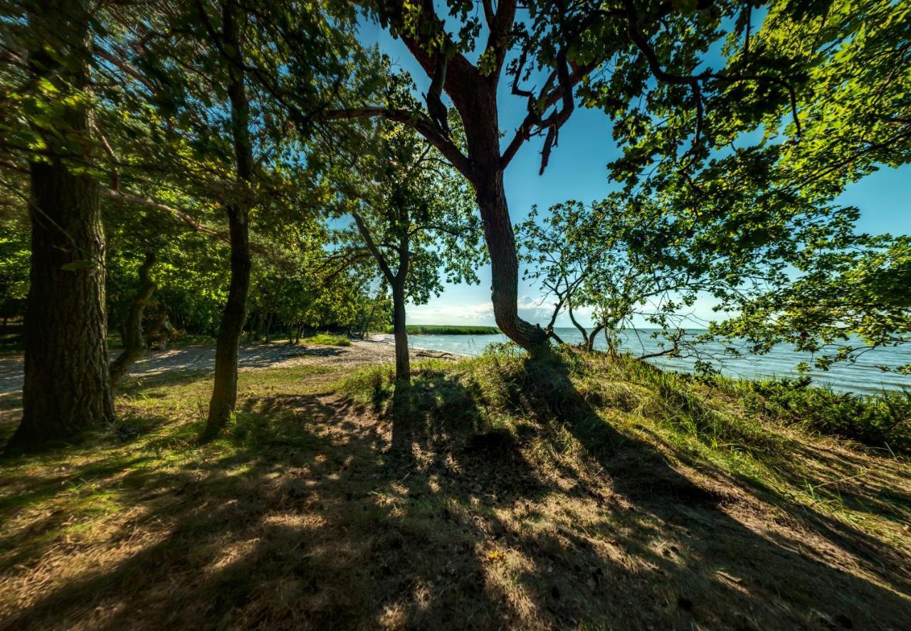 Traumhaff Kuestenchalets - Einzigartige Chalets An Der Ostsee. Ganz Aus Laerchenholz Mit Kamin Und Sauna Vogelsang-Warsin Extérieur photo